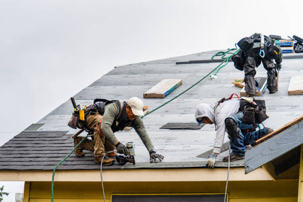 Professional Gutter Installation technician working in Lone Tree, IA